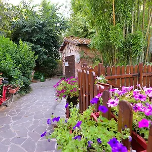 Loft In Antico Mulino Isola d'Arbia